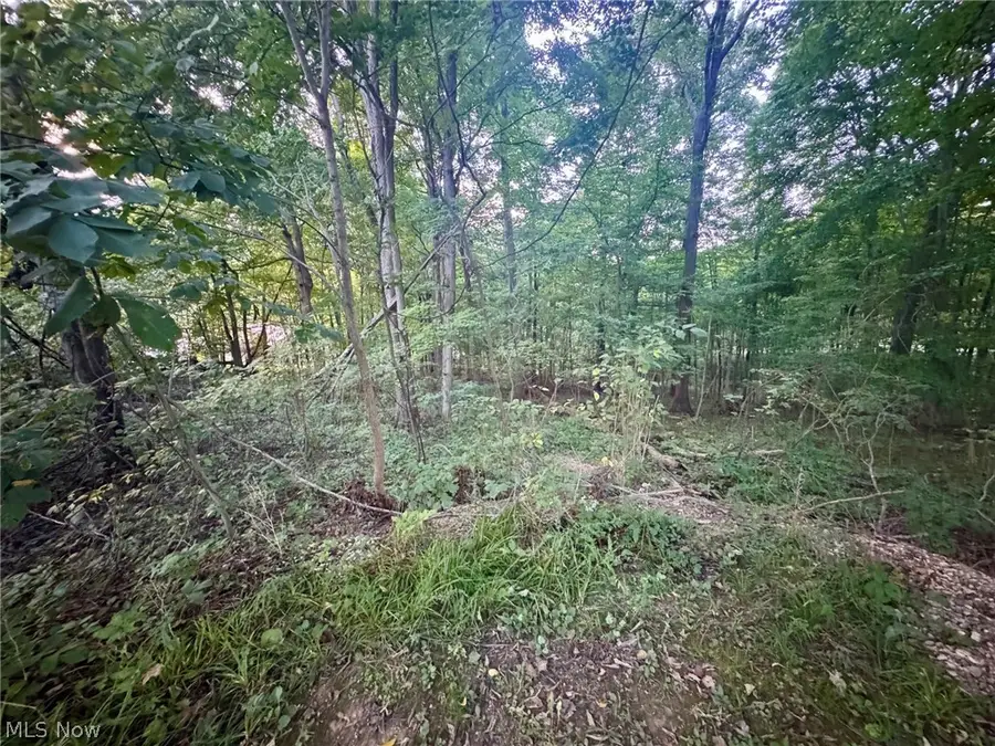 0 Tarkman Drive, Nashport, OH 43830 - #2