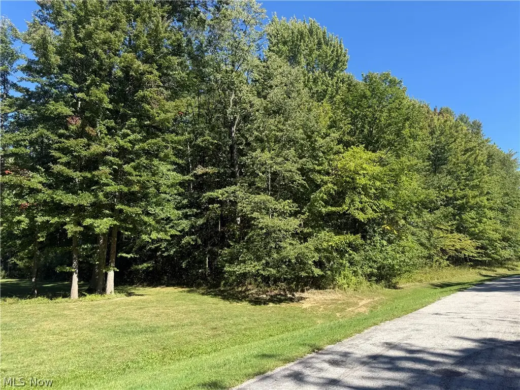 Shirley Drive, Painesville, OH 44077 - #1