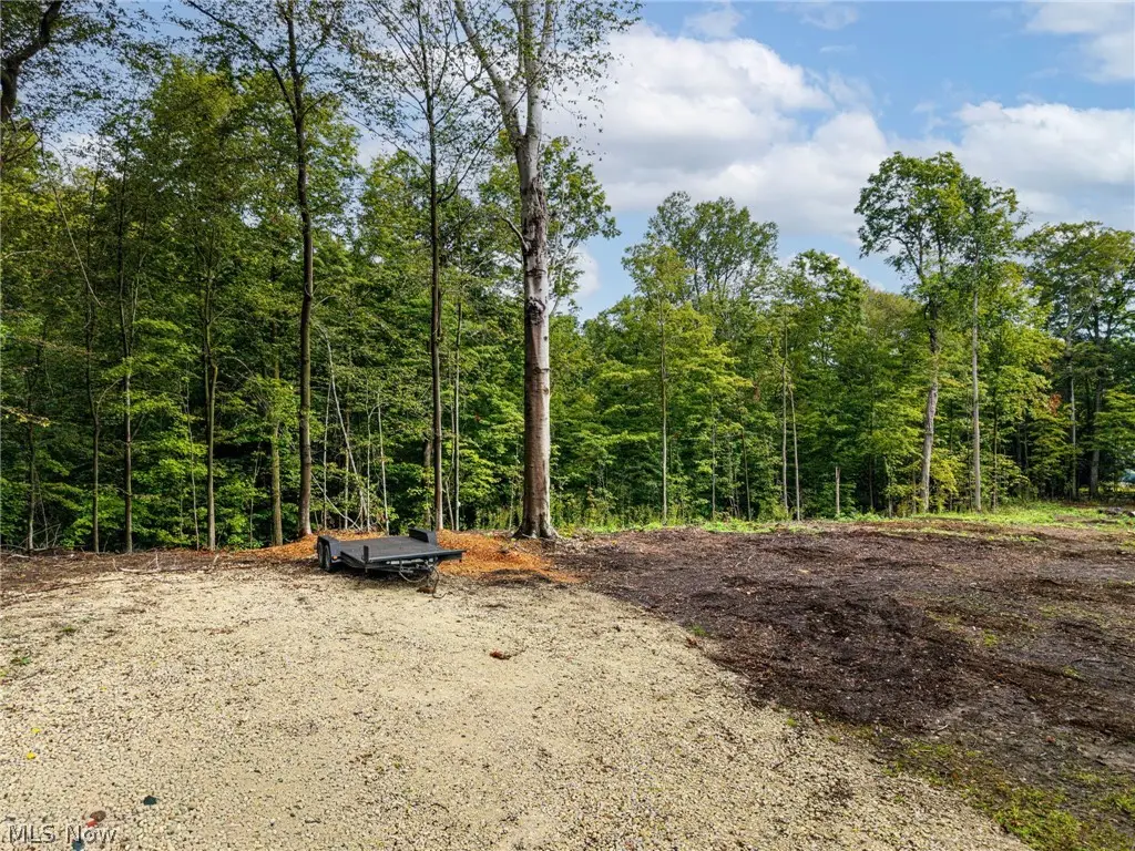 2959 Rohrer Road, Wadsworth, OH 44281 - #1