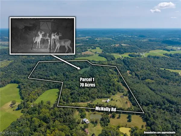 3930 Mcnally Road, Stockport, OH 43787