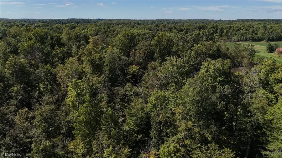 Twp Road 581, Sullivan, OH 44880 - #2