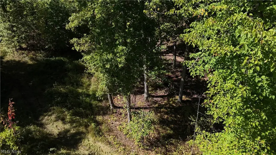 Twp Road 581, Sullivan, OH 44880 - #3