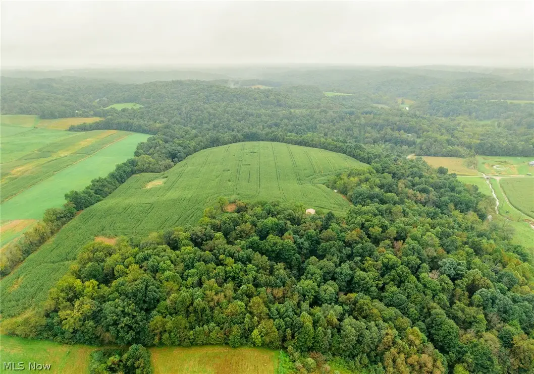 White Eyes Road, New Concord, OH 43762 - #1