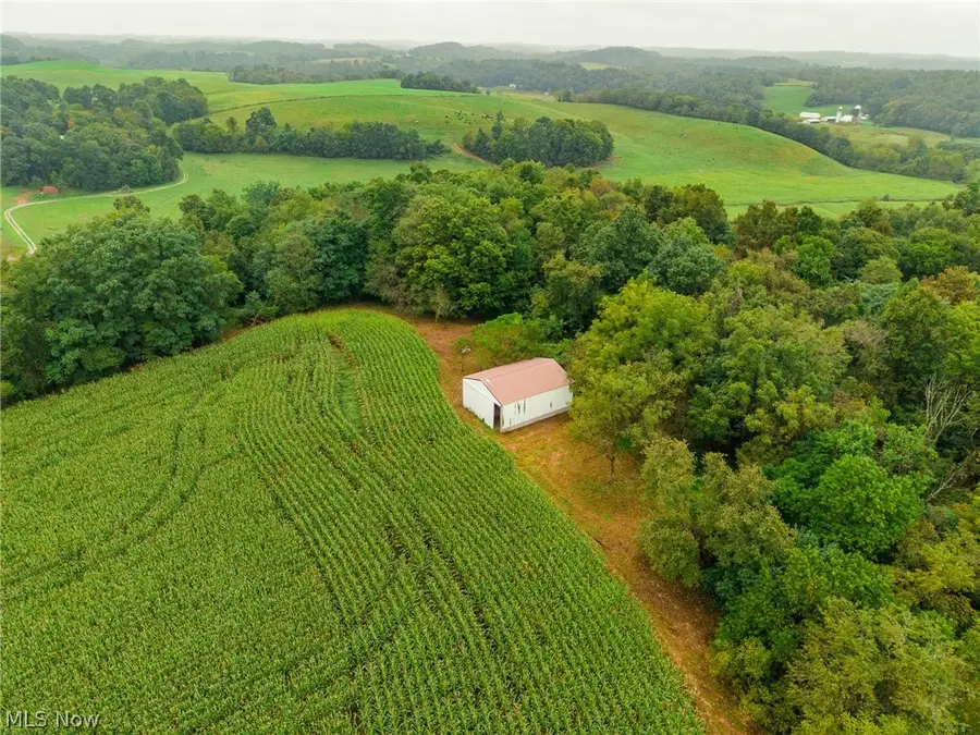 White Eyes Road, New Concord, OH 43762 - #3