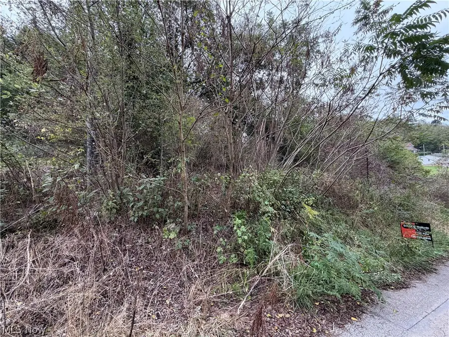 0 Maple Street, Bellaire, OH 43906 - #3