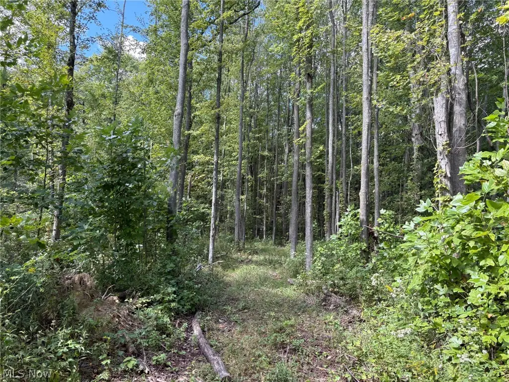 Center Road, Conneaut, OH 44030 - #1