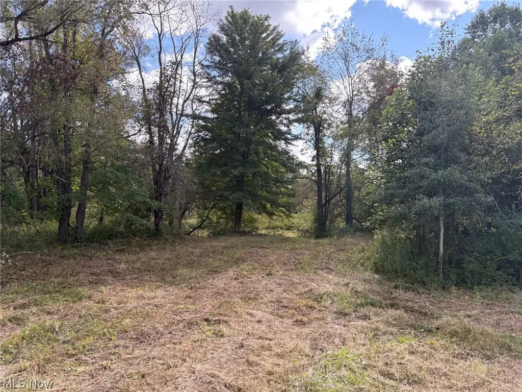 Scribner Road, Pierpont, OH 44082 - #1