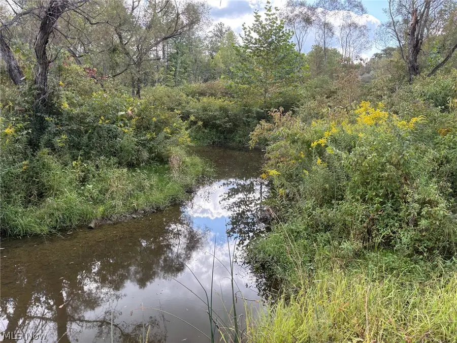 Scribner Road, Pierpont, OH 44082 - #3