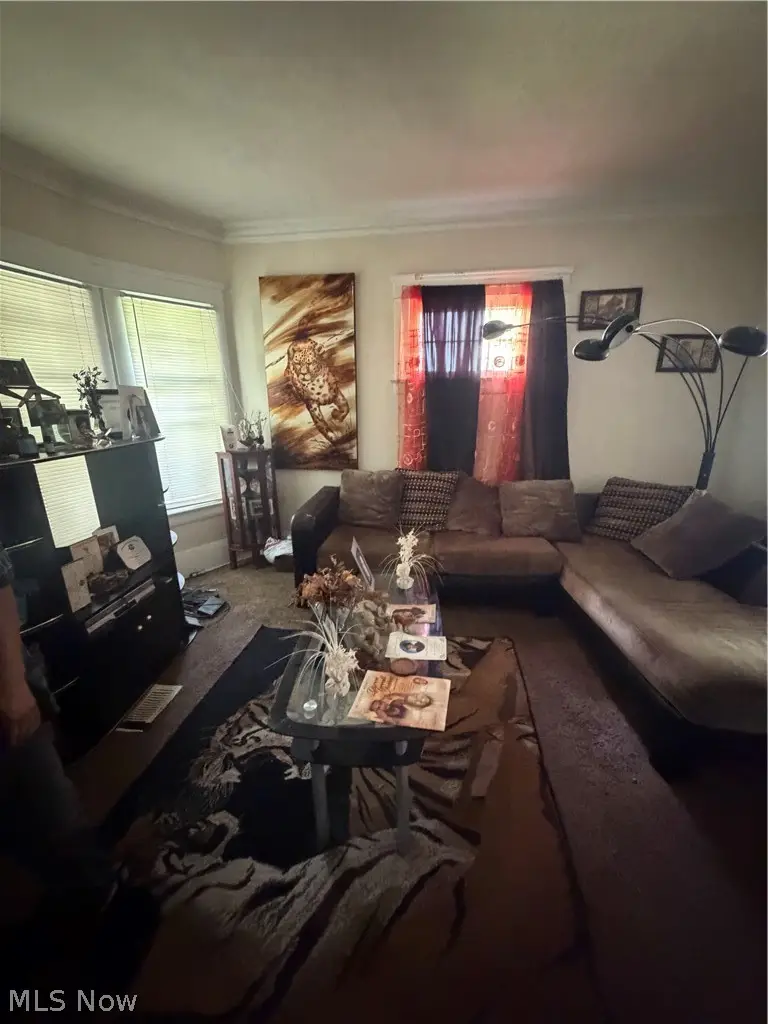 3217 Sycamore Road, Cleveland Heights, OH 44118 - #2