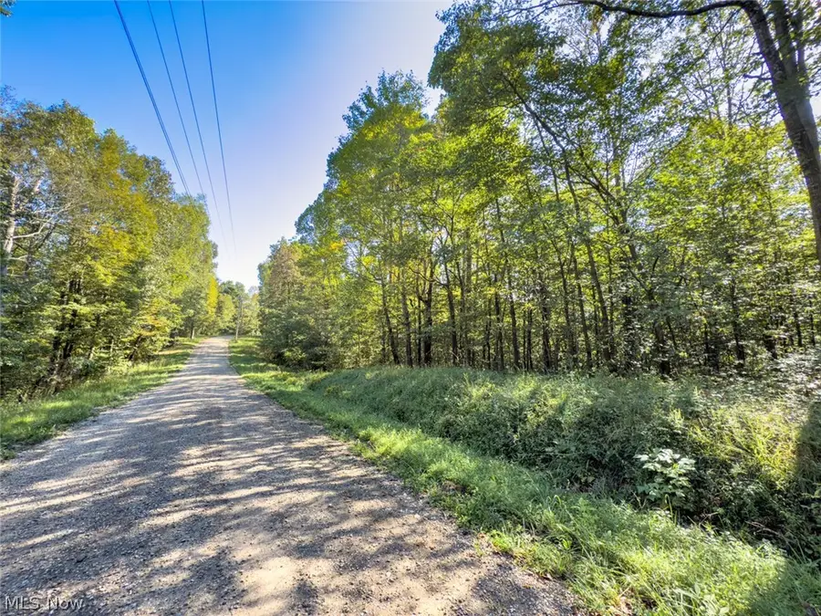 Parcel 1 Shinn Road, Palmer, OH 45724 - #2