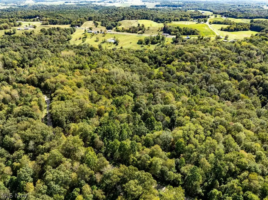 Parcel 1 Shinn Road, Palmer, OH 45724 - #3