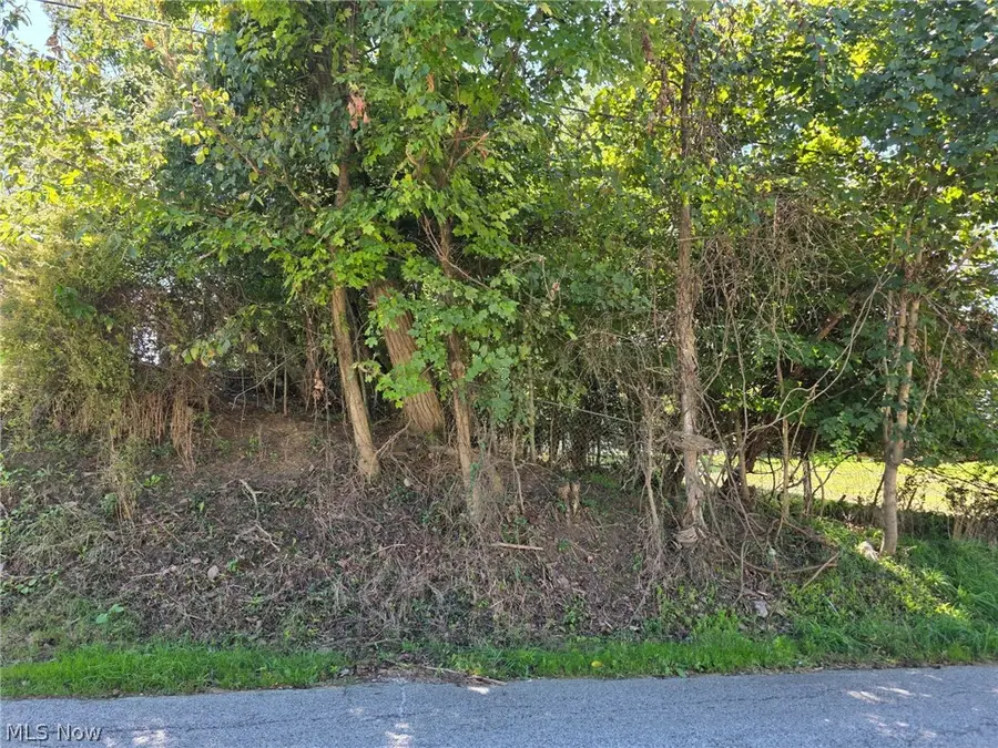 Young Lane, Saint Clairsville, OH 43950 - #2