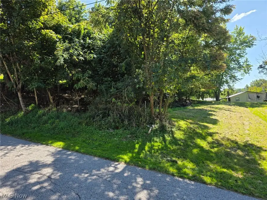 Young Lane, Saint Clairsville, OH 43950 - #3
