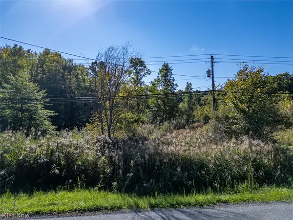 Newton Falls Road, Ravenna, OH 44266