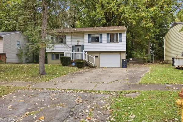 3106 Williamsburg Nw Street, Warren, OH 44485