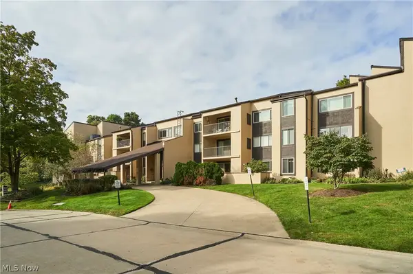1008 Bunker Drive #101, Fairlawn, OH 44333