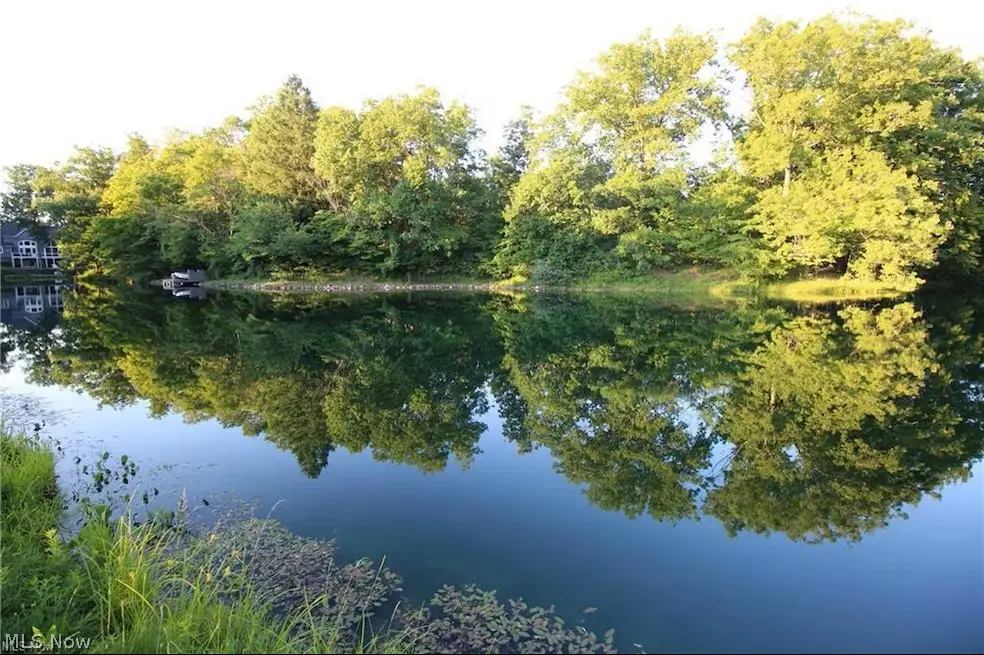 4161 Mallard Bay, Medina, OH 44256 - #1
