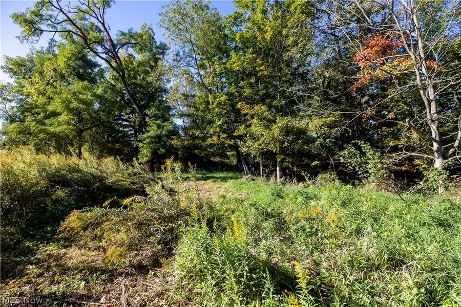Alabama Sw Avenue, Navarre, OH 44662 - #3