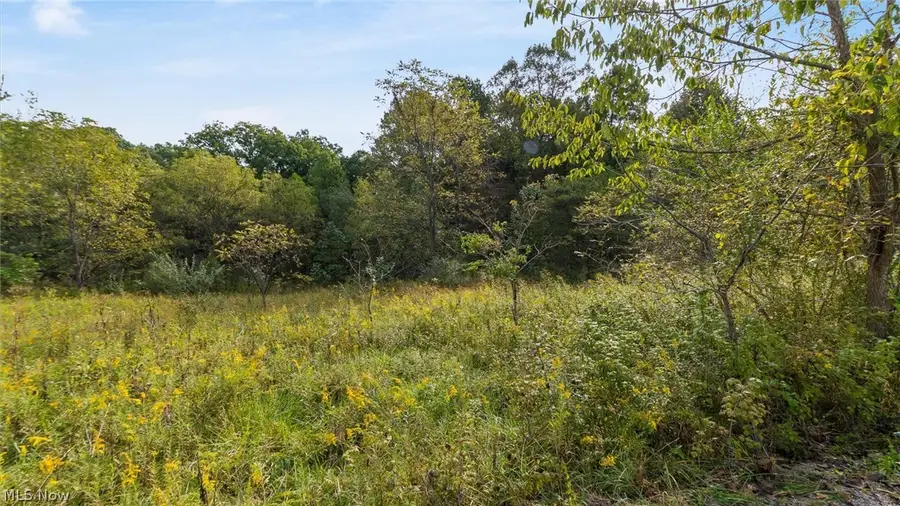 37 John Woods Road, Oak Hill, OH 45656 - #2