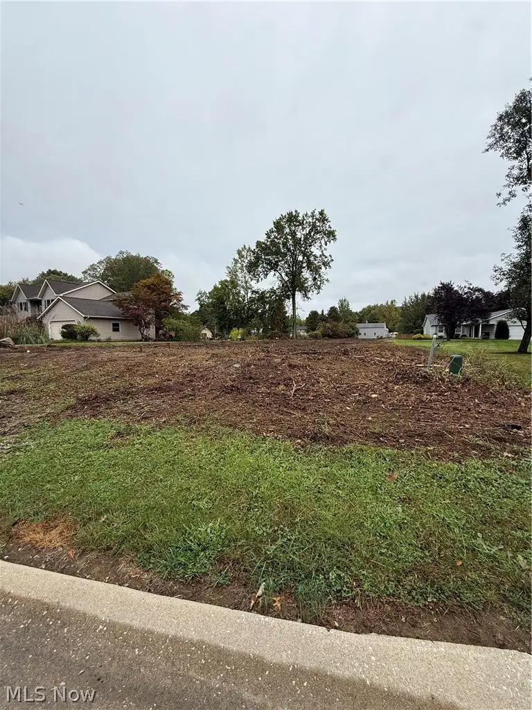VL Falling Rock Lane, Painesville, OH 44077 - #1