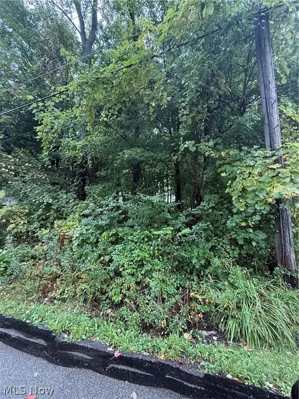 434 Morgan Drive, Painesville Twp, OH 44077