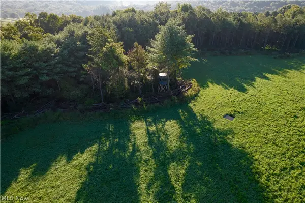 Perl Road, Chandlersville, OH 43727