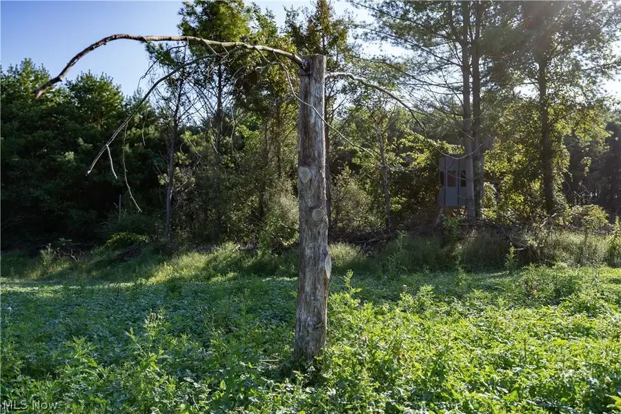Perl Road, Chandlersville, OH 43727 - #3