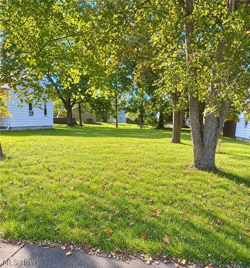 3910 Risher Avenue, Boardman, OH 44511 - #1