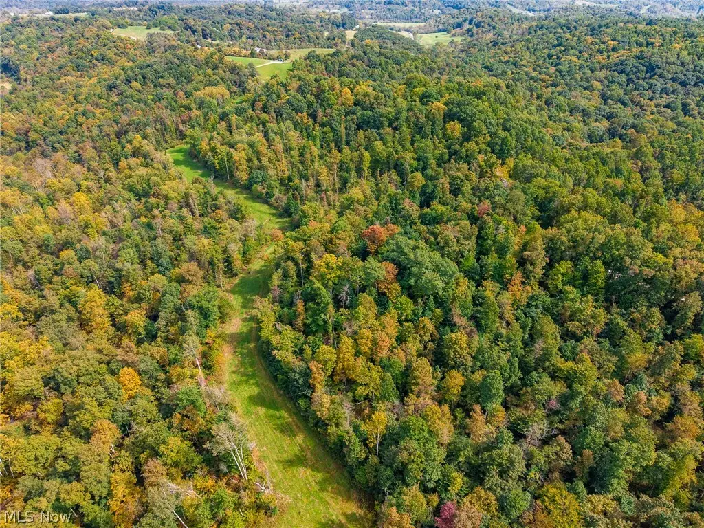 Lew Marten Road, Summerfield, OH 43788 - #1