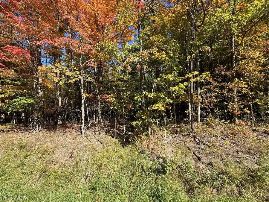 V/L 1 Trask Road, Leroy, OH 44086 - #3