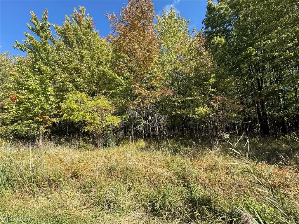 V/L 2 Trask Road, Leroy, OH 44086 - #1
