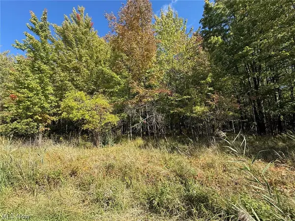 V/L 2 Trask Road, Leroy, OH 44086