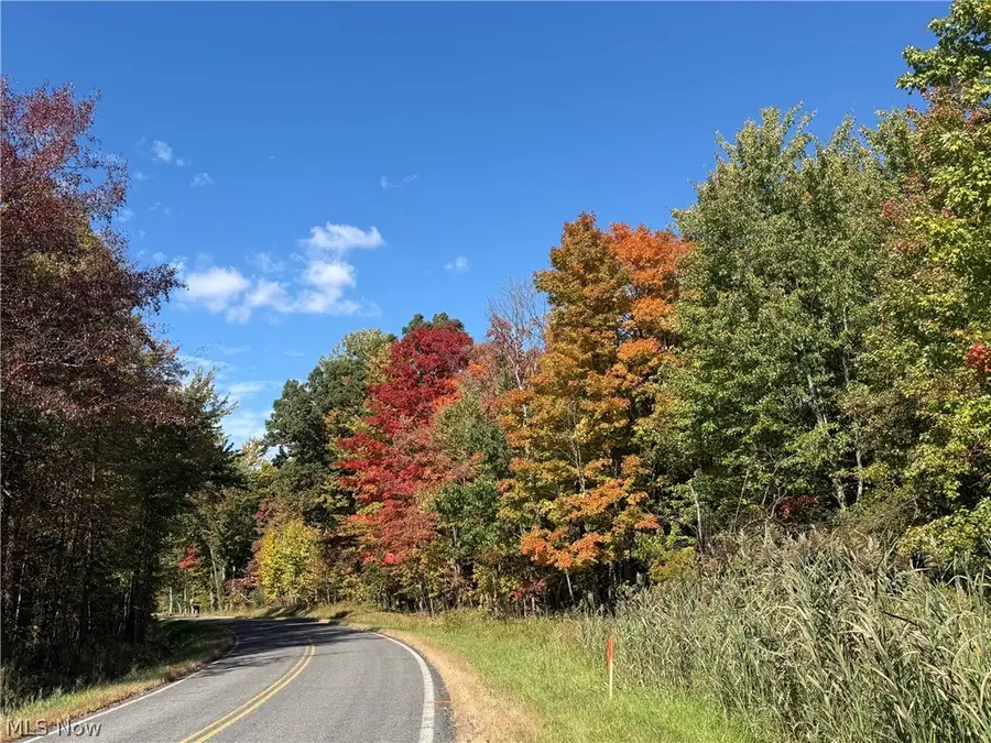 V/L 2 Trask Road, Leroy, OH 44086 - #2