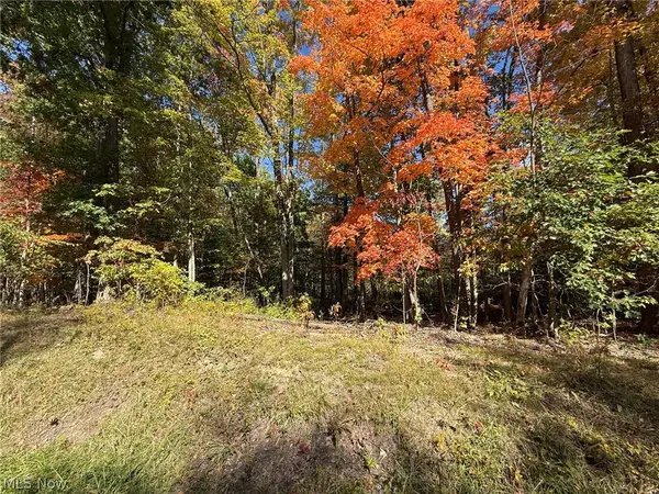 V/L 3 Trask Road, Leroy, OH 44086