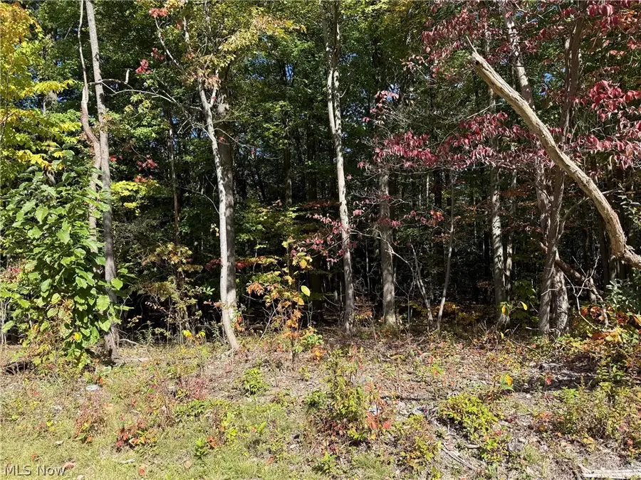 V/L 3 Trask Road, Leroy, OH 44086 - #2