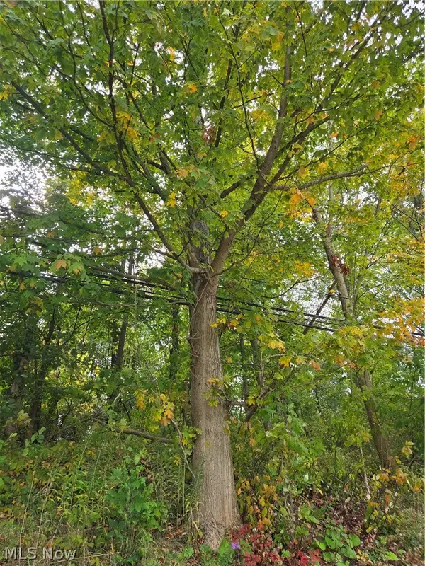 Gar Highway, Montville, OH 44064