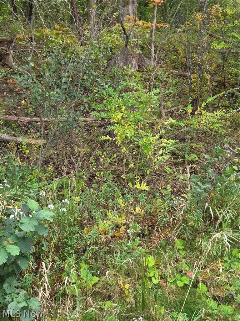 Gar Highway, Montville, OH 44064 - #2