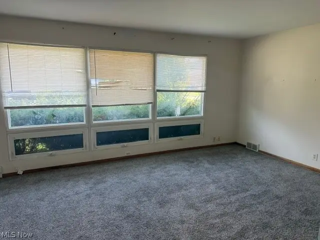 222 Stoddard Avenue, Akron, OH 44313 - #3