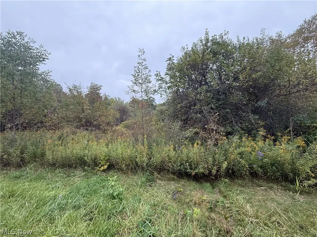 Clay Street, Thompson, OH 44086 - #1