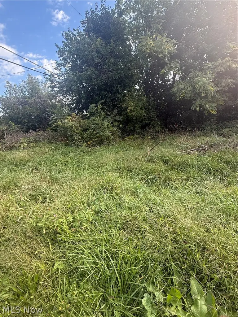 2103 E 81st Street, Cleveland, OH 44103 - #3