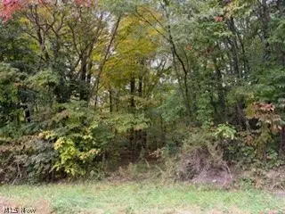 37806 Butcher Road, Leetonia, OH 44431 - #1