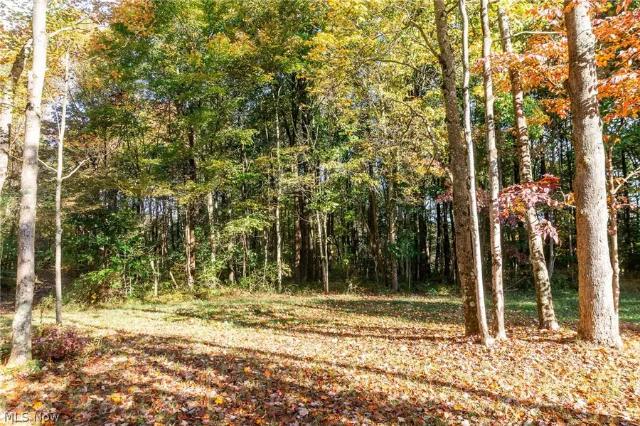 6985 Brush Run Road, Cambridge, OH 43725 - #2