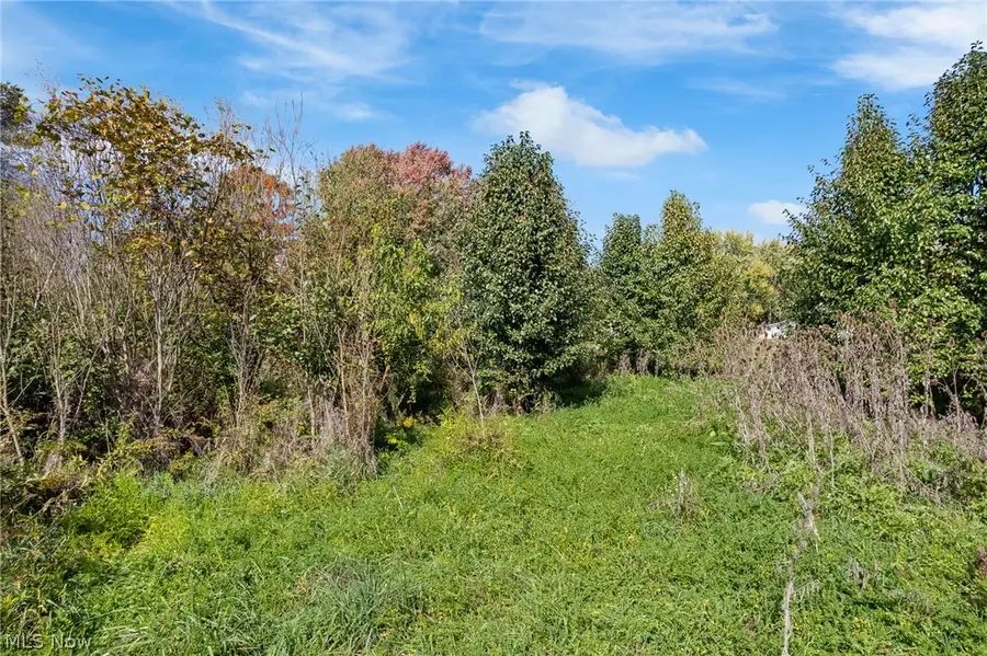 V/L Lot #1 Myers Street, Creston, OH 44217 - #2