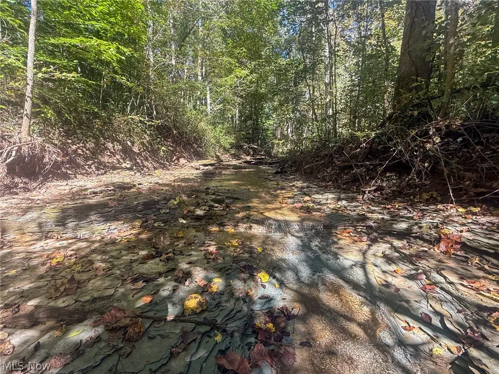 Buttermilk Hill Rd Nw, McConnelsville, OH 43756 - #1
