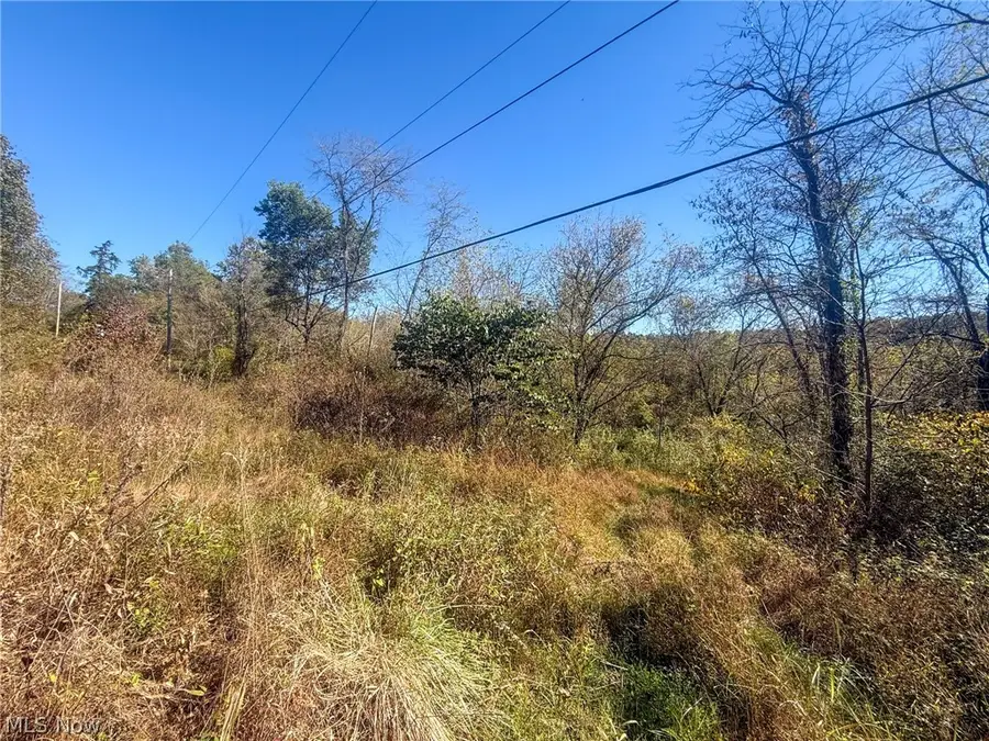 Buttermilk Hill Rd Nw, McConnelsville, OH 43756 - #2