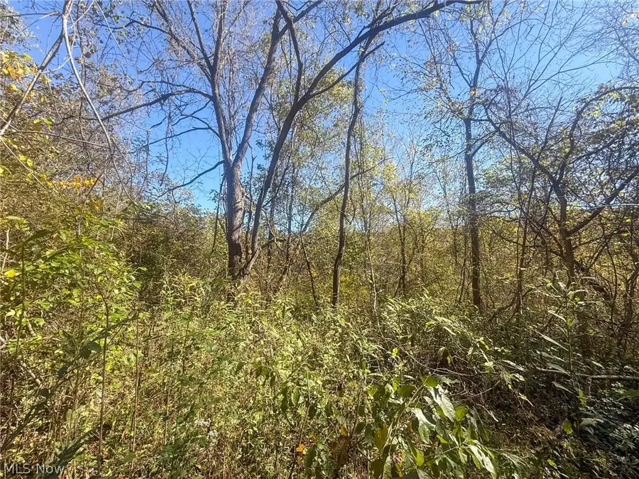 Buttermilk Hill Rd Nw, McConnelsville, OH 43756 - #3