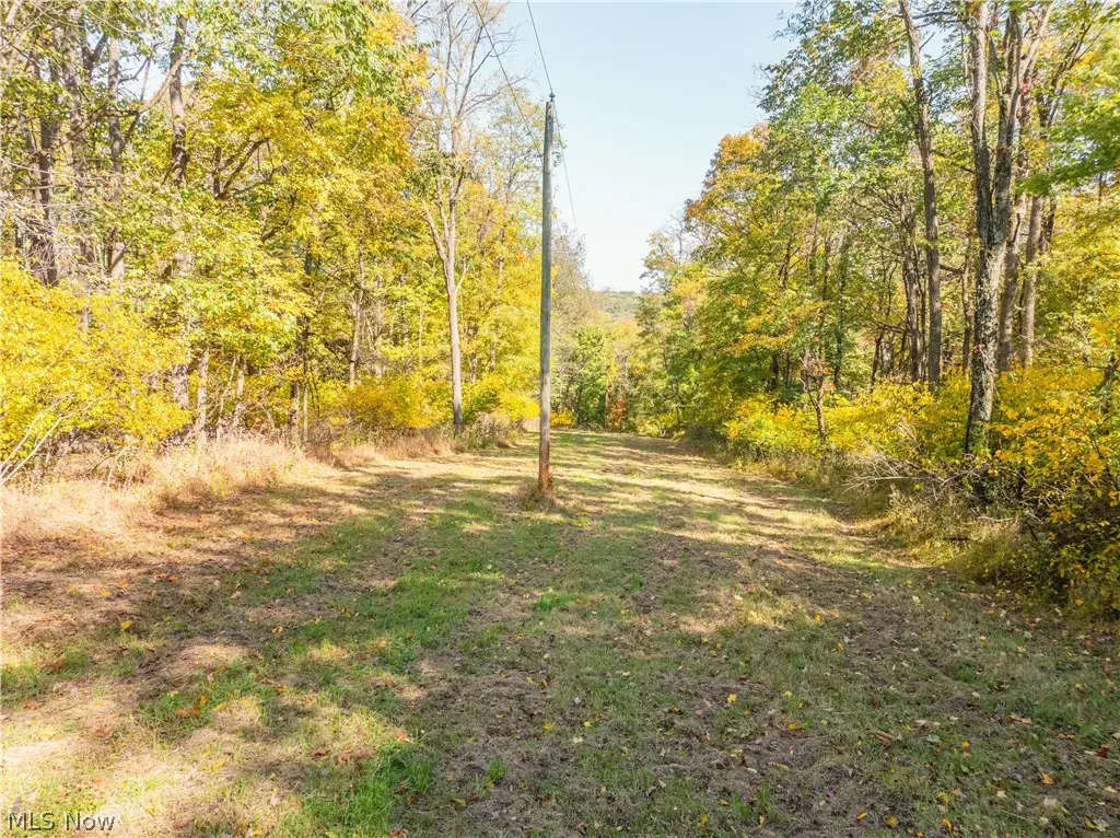 Tr 228, Glenmont, OH 44628 - #1