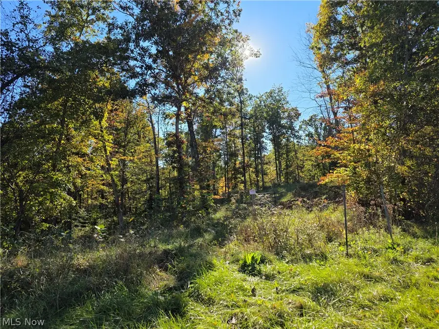 0 Emerson Avenue, Waverly, WV 26184 - #3