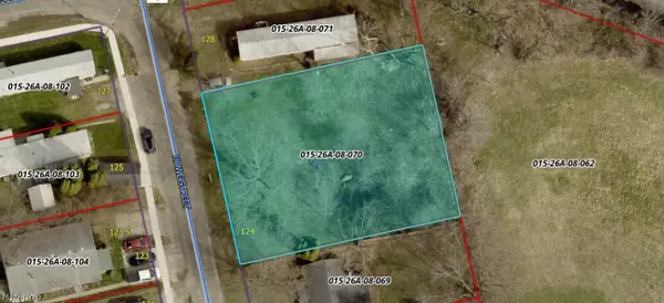124 Howe Street, Lodi, OH 44254