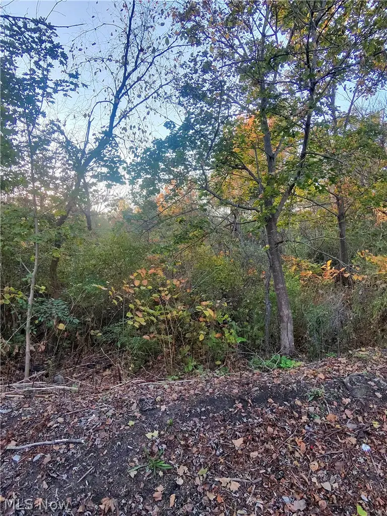S Bender Avenue, Akron, OH 44319 - #2
